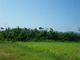 s051932-20111025173614.jpg