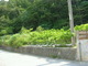 s114189-2020061795540.jpg